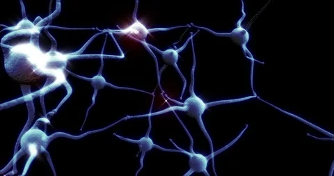 Real Neuron synapse network with red electric impulse activity able to loop Stock Footage 98686484