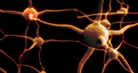Real Neuron synapse network with red electric impulse activity able to loop Stock Footage 98686746