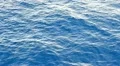 real ocean waves texture HD Footage