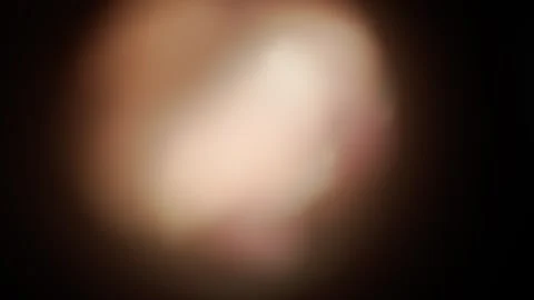 Real optical bokeh on black background Stock Footage 282480882