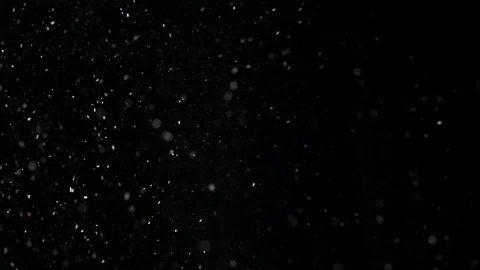 Real Organic Floating Dust Particles Background Video stock 111148292