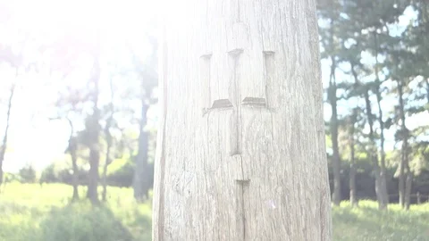 Real pagan altar in the forest with idols in summer light. RAW footage. Stock Footage 90678091