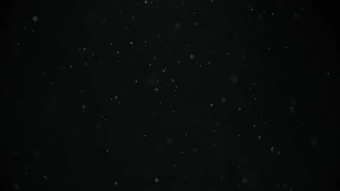 Real particles on black background | Stock Video | Pond5