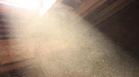 dust particles in sunlight