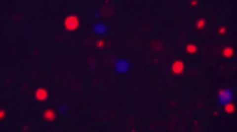 Real particles spinning Stock Footage 32905011