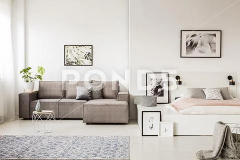 Real photo of a single person, open space apartment interior with a gray corn Stock Photos