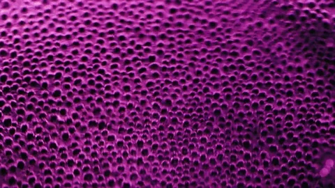 Real pink bubble on black background Stock Footage 94960098