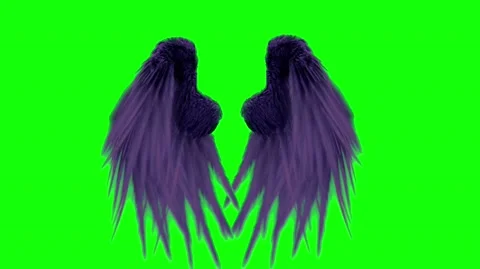 Real purple devil feather wings loops green screen Stock Footage 140664330