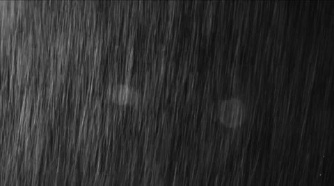 Real Rain Loop (Downpour) Stock Footage 960143