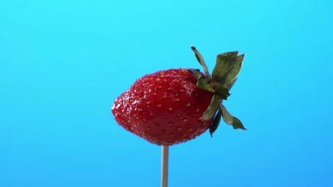 Real red ripe strawberry rotating on blue background. Natural juicy berry, macro Stock Footage 201341383