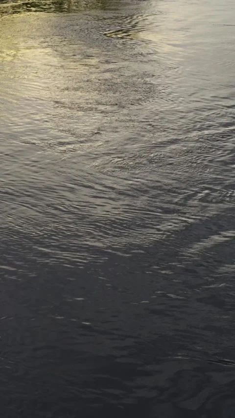 Real River Water Texture for Vertical Stories Reels and Mobile Content Stock Footage 336219172