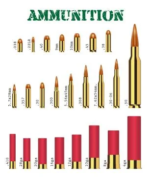 Real set of many types of gun ammunition vector Stock Illustration