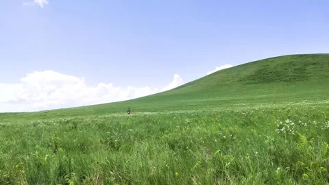 Real Shot of Continuous Rolling Green Grass Slope Fence Herd Path in Inner Stock Footage 337980655
