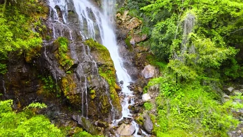 Real Shot of Double Waterfall Green Plant on Mountain Rock Wall Video stock 337941837