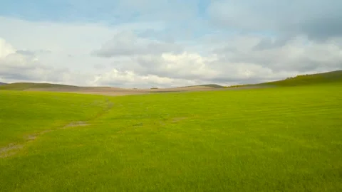 Real Shot Flat Boundless Green Grassland Country Trail Clear Sky White Cloud Stock Footage 337980889