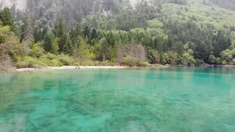 Real Shot of Forest Shade Water Color in Jiuzhaigou Sichuan China Stockbeeldmateriaal 336885142