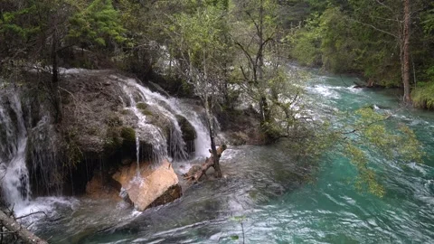 Real Shot of Interlaced Stream and Waterfall Landscape in Jiuzhaigou Sichuan Video stock 336887203