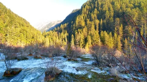 Real Shot of Rock Shallow Beach in Jiuzhaigou Sichuan China Stockbeeldmateriaal 336888356