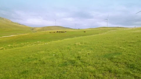 Real Shot of Rolling Green Grass Slope Wind Turbine Thin Cloud Clear Sky in Stock Footage 337980284