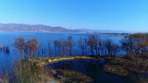 Real shot shallow beach with withered trees winter lake scenery around lake in Video stock 337923794