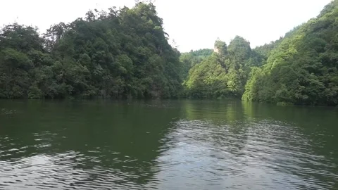 Real Shot of Soft Light Lake and Dense Lake Shore Forest Stock Footage 337930348