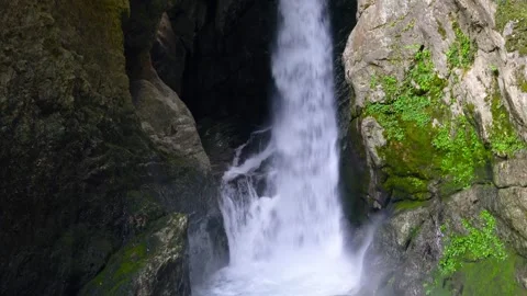Real Shot of Vertical White Waterfall Moss Rock Wall Narrow Canyon Stock Footage 337942013
