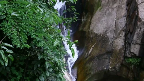 Real shot waterfall collection Stock Footage 198518130