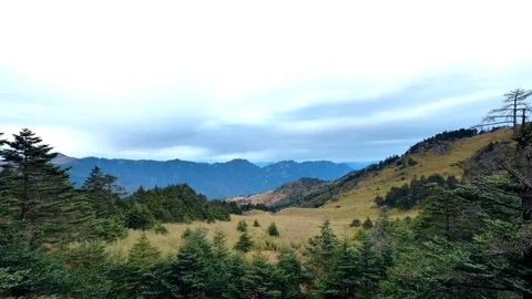 Real Shot of Wide Meadow Valley Distant Mountain Flowing Cloud Stock Footage 337941799