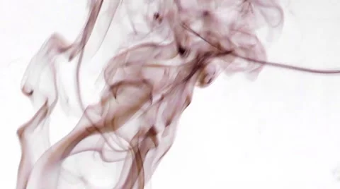 Real Silky Smoke on White Background Stock Footage 68034106