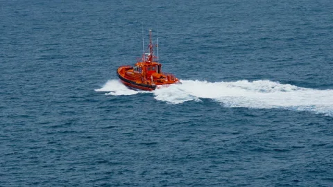 Real situation, search for bodies of missing people. Stock-Footage 144139496