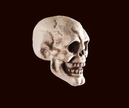 Real skull, human head bone, dead face on black background Stock Photos