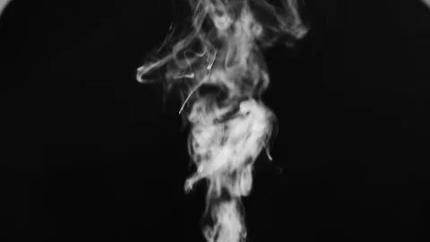 Real Smoke Video stock 113308687