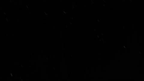 Real snow 002 Stock Footage 147395517