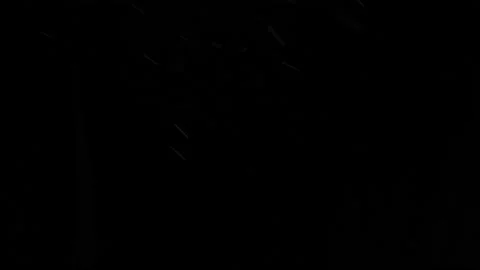 Real snow 003 Stock Footage 147396004