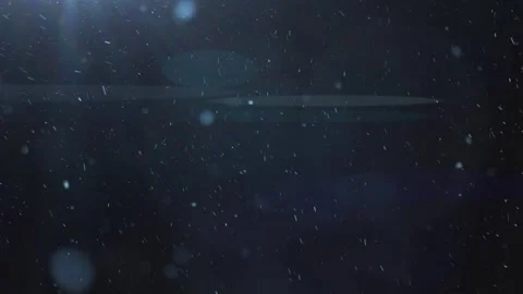 Real snow on black background, blue lighting, blizzard Stock Footage 255678532