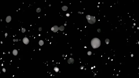 Real snow on black background, It is snowing peaceful foreground layer Stock Footage 151036990