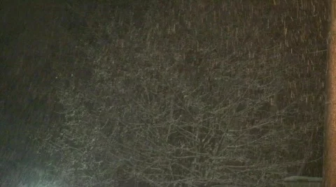 Real Snow Fall - Christmas time 스톡 동영상 590091