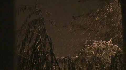 Real Snow Fall Stock-Footage 590114