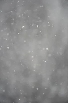 Real snow falling against grey background Stock Photos