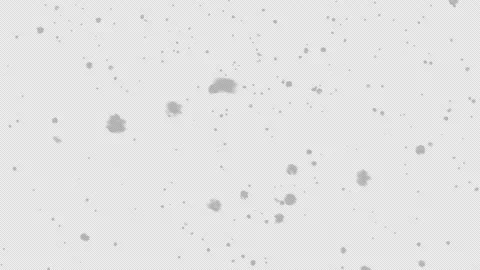 Real snow falling with alpha loopable Stock Footage 163797748
