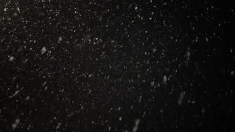 Real snow falling on black background. Stock Footage 260185597