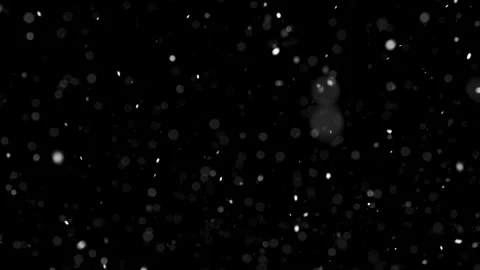 Real Snow Falling on Black Background Winter Weather Overlay Stock Footage 313382972