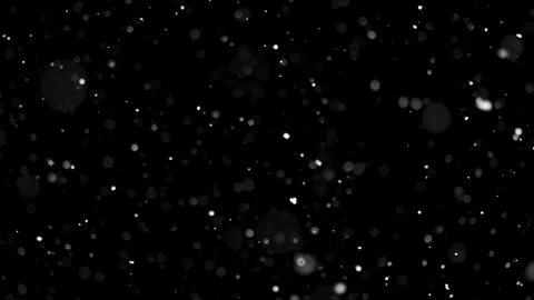 Real Snow Falling on Black Background Stock Footage 314069489
