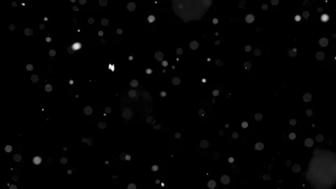 Real Snow Falling on Black Winter Background Stock Footage 311440180