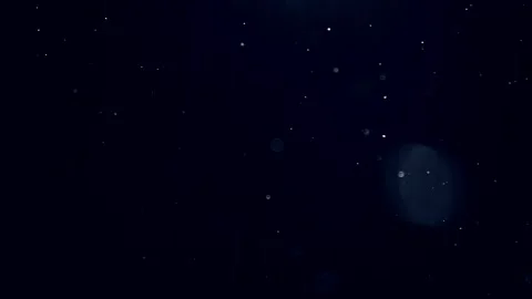 Real Snow Falling on Dark Purple Background. Snowy particles dust isolated Stock Footage 335588602