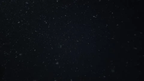 Real snow falling down on black background. Video stock 260448863
