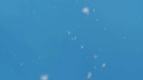 Real snow falling down on blue chroma key background, ready to use design effect Stock Footage 140726865