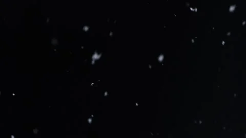 Real snow falling down isolated on black background, ready to use design effect. Stock Footage 142055765