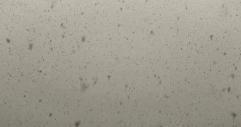 Real snow falling during a snowstorm, 4k video footage of snowflakes Stock Footage 144874637