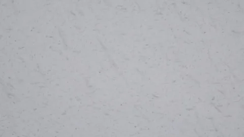 Real snow falling Stock Footage 83221911